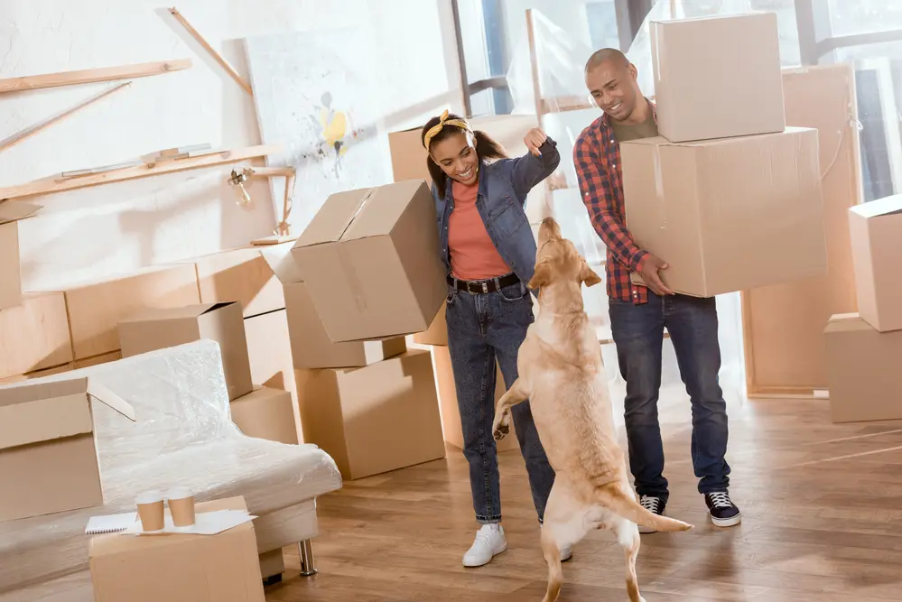 Furniture-Moving--in-Bowersville-Ohio-Furniture-Moving-4162704-image